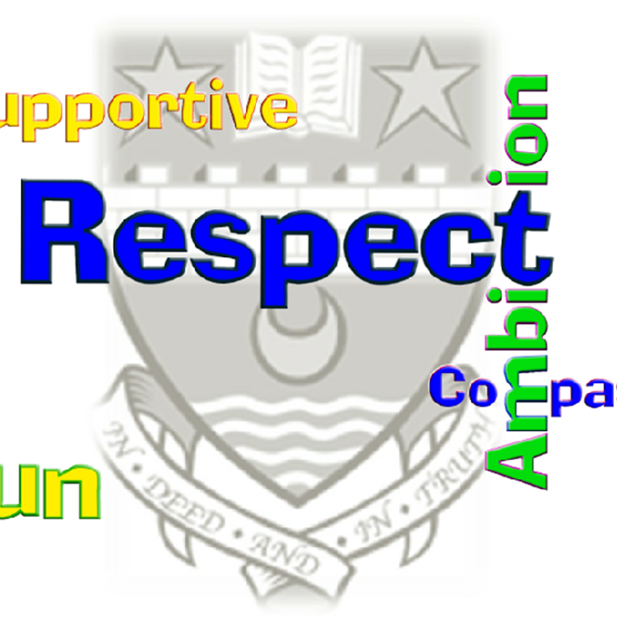 Our Vision and Values